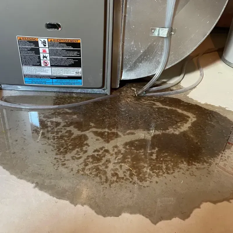 Appliance Leak Cleanup in Owens Cross Roads, AL